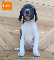 processed/ef64259f-3e90-4aad-ac44-b3d1ceaa16bd/listing/4a093b22-9f81-4207-aae2-afe5e4107526/6737ce17-7bc9-4ae6-96b1-f899c9b1d5aa