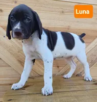 processed/ef64259f-3e90-4aad-ac44-b3d1ceaa16bd/listing/4a093b22-9f81-4207-aae2-afe5e4107526/75498184-f3d4-4b4e-b1bd-538cd8db5fb7