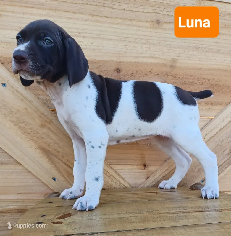 Luna