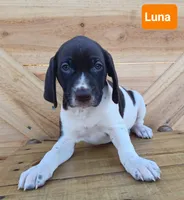 processed/ef64259f-3e90-4aad-ac44-b3d1ceaa16bd/listing/4a093b22-9f81-4207-aae2-afe5e4107526/e34b0205-0adf-4b6f-9e31-65e1a0a7a260