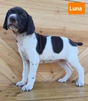 processed/ef64259f-3e90-4aad-ac44-b3d1ceaa16bd/listing/4a093b22-9f81-4207-aae2-afe5e4107526/f21c266b-3625-47b1-815b-ab77d7588e7d