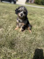 processed/ef845db6-5f11-42b0-8e70-a340a6d7a703/listing/fc0d0c2f-e532-4c99-8f1f-387a34afdf2d/6cb3728e-041d-4767-883f-f42ad25cdedb