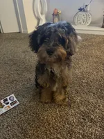 processed/ef845db6-5f11-42b0-8e70-a340a6d7a703/listing/fc0d0c2f-e532-4c99-8f1f-387a34afdf2d/77cb4174-51dc-4937-9169-9c45c9e386d1