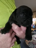 processed/ef869217-55b3-4683-b0c5-2a47cb9be971/listing/4b79a1d3-62a9-4600-92f3-1aaaee4f48c8/06fd7dcb-2acb-4241-b7cf-2f717f61eee6