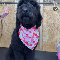 processed/ef8c565e-7fcd-4d3e-b64e-1da2ccbd98bb/facility/24a51616-7d56-4b32-afa7-d0286ba14c35