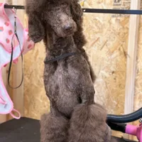 processed/ef8c565e-7fcd-4d3e-b64e-1da2ccbd98bb/facility/26e02711-53b8-475a-a2c9-28d08fe338d6