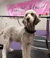 processed/ef8c565e-7fcd-4d3e-b64e-1da2ccbd98bb/facility/2db7b0e4-73c1-4c7d-b91a-eaeeb87661bf