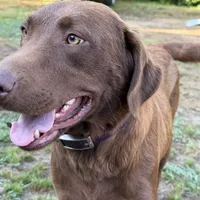 processed/ef8c565e-7fcd-4d3e-b64e-1da2ccbd98bb/facility/8f9b8a4d-e63f-4626-82e7-584602194473