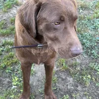 processed/ef8c565e-7fcd-4d3e-b64e-1da2ccbd98bb/facility/b597b365-675c-448c-af7e-1bf186a9073e