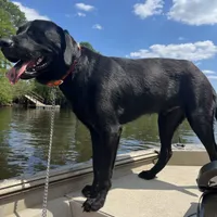 processed/ef8c565e-7fcd-4d3e-b64e-1da2ccbd98bb/facility/d64bb043-e0f5-4efc-903e-a3f3815ebe53