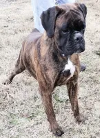 processed/ef902fe8-d557-4009-ac9f-3cebc5fa07c6/facility/1dada00c-084d-405a-baa3-4b85026c5163