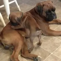 processed/ef902fe8-d557-4009-ac9f-3cebc5fa07c6/facility/56bdb297-c759-4b9b-b41c-eda62b083e96