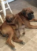 processed/ef902fe8-d557-4009-ac9f-3cebc5fa07c6/facility/56bdb297-c759-4b9b-b41c-eda62b083e96