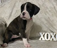 processed/ef902fe8-d557-4009-ac9f-3cebc5fa07c6/listing/28c6181c-c80d-4a97-b0f4-74ab4d2d16c5/08d5e9f7-785d-4e56-9e09-5e4757f4f4b1