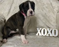 processed/ef902fe8-d557-4009-ac9f-3cebc5fa07c6/listing/28c6181c-c80d-4a97-b0f4-74ab4d2d16c5/11417af1-40ae-49fc-85a6-444cc314da51