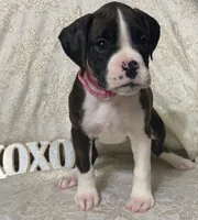 processed/ef902fe8-d557-4009-ac9f-3cebc5fa07c6/listing/28c6181c-c80d-4a97-b0f4-74ab4d2d16c5/732b7a8b-3345-408c-a7a0-e70f9ea97100