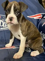 processed/ef902fe8-d557-4009-ac9f-3cebc5fa07c6/listing/28c6181c-c80d-4a97-b0f4-74ab4d2d16c5/a12b4c37-57f5-4c9e-8d4f-76480c63d3cb