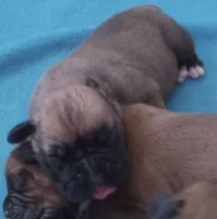 processed/ef902fe8-d557-4009-ac9f-3cebc5fa07c6/listing/5ed01512-e930-4d84-b51e-0d185629eb43/4dec37b8-34d5-4088-9ac7-940410035ee0