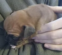 processed/ef902fe8-d557-4009-ac9f-3cebc5fa07c6/listing/aba61d7f-b1c4-4efc-8d5d-a4eb1d20b012/2aae5791-7eef-4df8-b5d0-9017ee6b0097