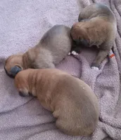 processed/ef902fe8-d557-4009-ac9f-3cebc5fa07c6/listing/aba61d7f-b1c4-4efc-8d5d-a4eb1d20b012/7268a8d7-b3cd-4f92-8b93-717e83c3c0e4