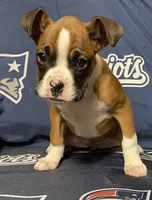 processed/ef902fe8-d557-4009-ac9f-3cebc5fa07c6/listing/eb4d0625-14a4-4e81-bd31-efc780ac6bc2/6ae3c97e-2eb3-448b-9579-1ed7c36aff2f