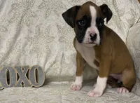 processed/ef902fe8-d557-4009-ac9f-3cebc5fa07c6/listing/eb4d0625-14a4-4e81-bd31-efc780ac6bc2/8079a947-603e-4059-9ce7-c0e8005b9538