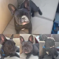 processed/ef973d60-7a93-4e2e-be9b-3a062673092d/facility/ae15e198-6c5c-4950-b613-ecc53fa5109b