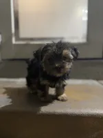 processed/ef9eccfb-b4cf-4cdc-bc66-a897809962b0/listing/341fa94e-a9b3-470f-bb93-8612925222ee/375efe7b-aa81-468e-9859-846e65598902