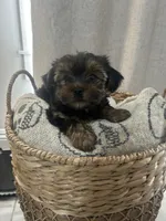 processed/ef9eccfb-b4cf-4cdc-bc66-a897809962b0/listing/341fa94e-a9b3-470f-bb93-8612925222ee/6b0da823-4b42-46ee-976e-c2eb956bab2e