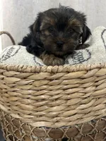 processed/ef9eccfb-b4cf-4cdc-bc66-a897809962b0/listing/341fa94e-a9b3-470f-bb93-8612925222ee/b91b2742-c10b-4e5d-a4bd-11377404e8b2