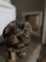 processed/ef9eccfb-b4cf-4cdc-bc66-a897809962b0/listing/341fa94e-a9b3-470f-bb93-8612925222ee/d6b63a2b-686a-4de5-b792-37d0545a99b7