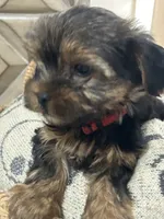 processed/ef9eccfb-b4cf-4cdc-bc66-a897809962b0/listing/341fa94e-a9b3-470f-bb93-8612925222ee/fec79e17-5684-42c5-9c50-0d8a2f9637bf