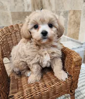 processed/efa4b099-c658-434d-94fb-e2ce6bd39cf4/listing/f58d250b-b38e-4ffa-b80f-5d6bdfea726c/5b33ff4a-4cd9-46e5-a277-357d3f62d4ff