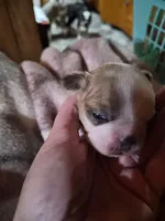 processed/efb832c0-d2cf-461f-b4f2-b23cfe5425f6/listing/0aeba0c2-3862-47b4-bade-a0a43e09eb92/1a429306-80c2-4b0c-9b31-0ab460f5a63f