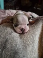 processed/efb832c0-d2cf-461f-b4f2-b23cfe5425f6/listing/0aeba0c2-3862-47b4-bade-a0a43e09eb92/3de4d911-333d-474a-b9f7-d5db2bd483a2