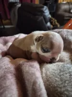 processed/efb832c0-d2cf-461f-b4f2-b23cfe5425f6/listing/0aeba0c2-3862-47b4-bade-a0a43e09eb92/5897ddb1-4079-4226-b66f-79a1692f715f