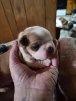 processed/efb832c0-d2cf-461f-b4f2-b23cfe5425f6/listing/0aeba0c2-3862-47b4-bade-a0a43e09eb92/e94963b9-0fb4-4f20-9b6f-507fa7e036ed