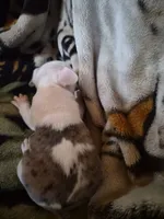 processed/efb832c0-d2cf-461f-b4f2-b23cfe5425f6/listing/5c02d4c5-252b-4945-9e43-d189e902a3da/414a780a-5616-469d-8cf8-3ec34e081fe2