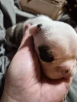 processed/efb832c0-d2cf-461f-b4f2-b23cfe5425f6/listing/6119fff6-9103-4d57-ab74-f58da388dd59/ad94b580-0b8b-4072-9a07-bc355ea5ff80