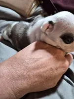 processed/efb832c0-d2cf-461f-b4f2-b23cfe5425f6/listing/6119fff6-9103-4d57-ab74-f58da388dd59/d4838994-cd93-4da4-a1f1-68135993cf5a