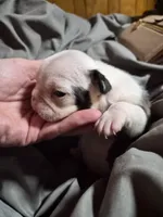 processed/efb832c0-d2cf-461f-b4f2-b23cfe5425f6/listing/6119fff6-9103-4d57-ab74-f58da388dd59/d98f1b7e-e040-48bf-8244-be2e61bb1aae