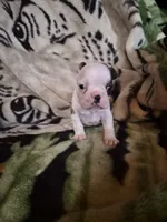 processed/efb832c0-d2cf-461f-b4f2-b23cfe5425f6/listing/8dd0b6a9-47ef-4215-8e76-205c76d1ca57/19e06248-c8c9-4963-a6fe-1b8d29c6ebd5