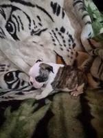 processed/efb832c0-d2cf-461f-b4f2-b23cfe5425f6/listing/8dd0b6a9-47ef-4215-8e76-205c76d1ca57/5d0620f0-01a6-49b0-9027-157cfa7cc51c