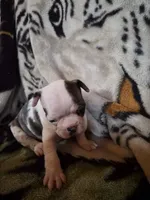 processed/efb832c0-d2cf-461f-b4f2-b23cfe5425f6/listing/961cca3f-83f7-4ca8-957a-858d306a443f/951c2dc8-2257-4426-962f-9fad84909056