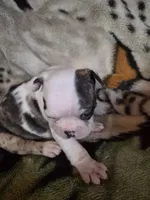 processed/efb832c0-d2cf-461f-b4f2-b23cfe5425f6/listing/961cca3f-83f7-4ca8-957a-858d306a443f/ba89e9d9-eeb5-40fe-9d72-cfd5f8450583