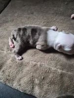 processed/efb832c0-d2cf-461f-b4f2-b23cfe5425f6/listing/a038250f-42bb-43ef-b1c5-f4a9f54d5102/7467d7e0-3e7a-4c44-9f85-a510a3501de3