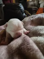 processed/efb832c0-d2cf-461f-b4f2-b23cfe5425f6/listing/c3f5ce0b-b933-46aa-95ec-ef6211cf4276/814f92a8-e50b-4f89-b710-6ee1591a9318