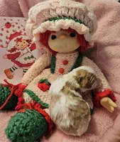 Strawberry Shortcake , a female Cavalier King Charles Spaniel and Cavachon for sale in Lancaster, OH – Photo 8 of 10