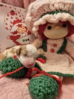 Strawberry Shortcake , a female Cavalier King Charles Spaniel and Cavachon for sale in Lancaster, OH – Photo 10 of 10