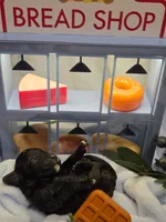 Blueberry Waffle , a male Cockapoo and Bichpoo for sale in Lancaster, OH – 1 of 1
